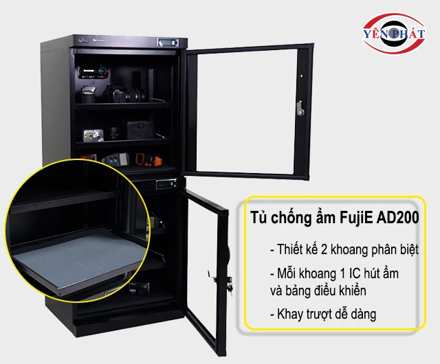 Phân hóa thành 2 khoang độc lập