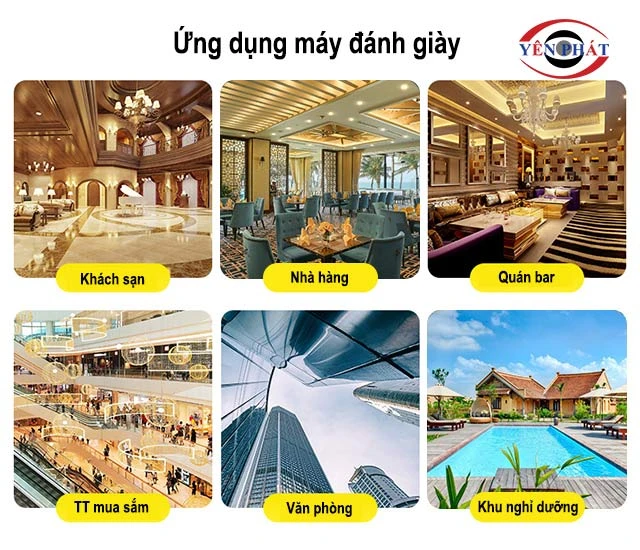 ứng dụng máy đánh giày