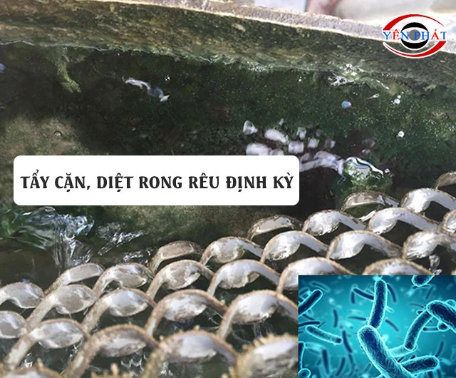 Dùng tháp đúng cách, vệ sinh định kỳ