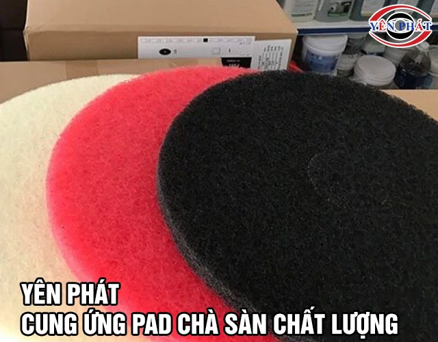 Bán Pad chà sàn