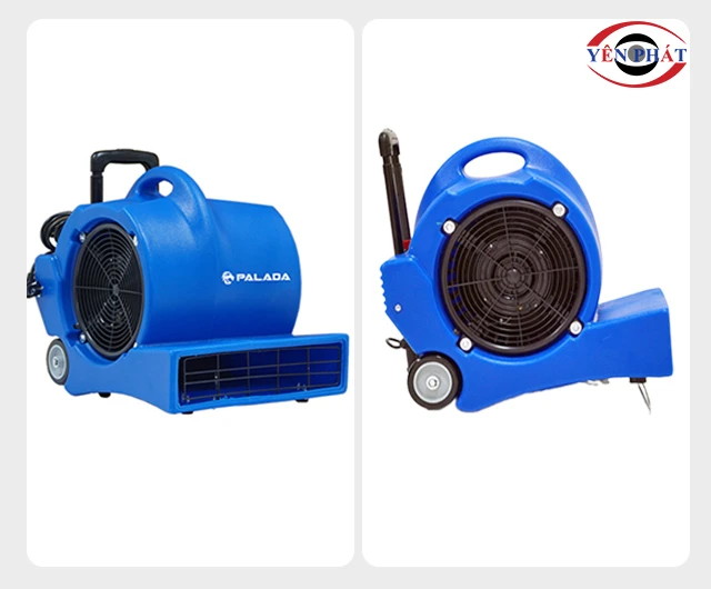 Kết cấu con sò