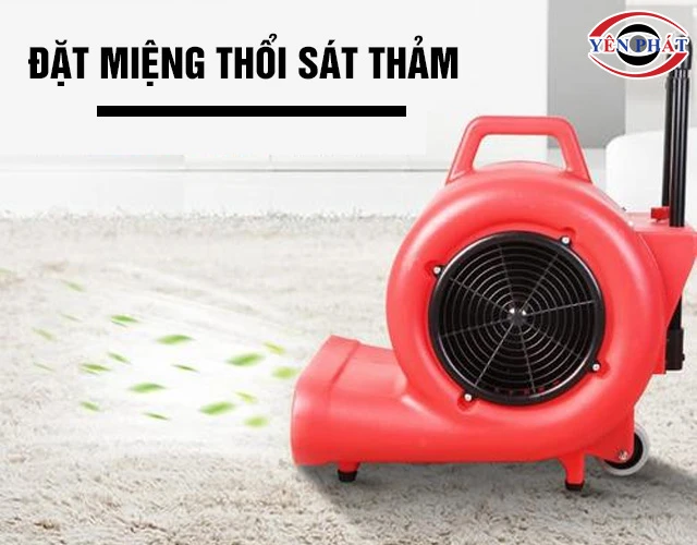 Cách dùng quạt thổi con sò CAMRY BF533