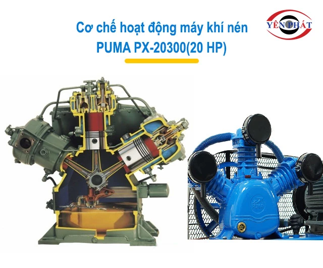 Cơ chế hoạt động của PUMA PX-20300(20 HP)