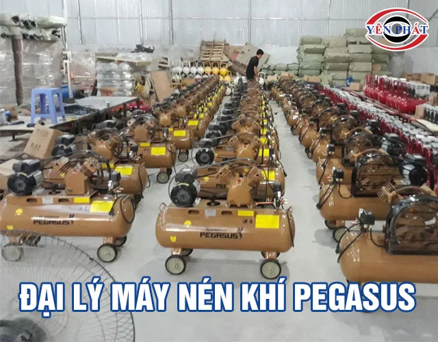 Top 7+ Đại lý máy nén khí Pegasus: Chính hãng, Giá gốc