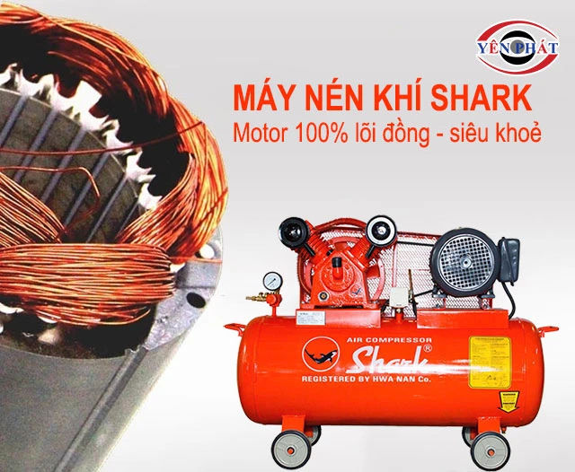 motor lõi đồng