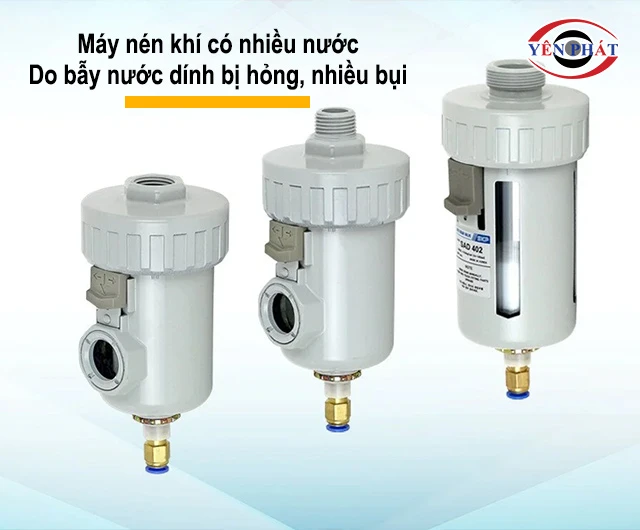 Bẫy nước dính bị hỏng hoặc nhiều bụi