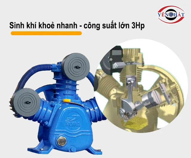 sinh khí khoẻ