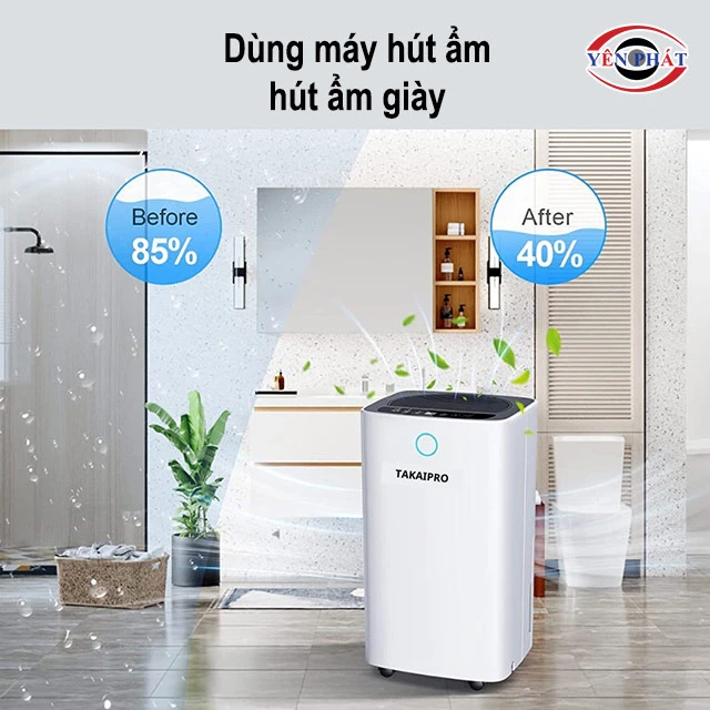 Dùng máy hút ẩm