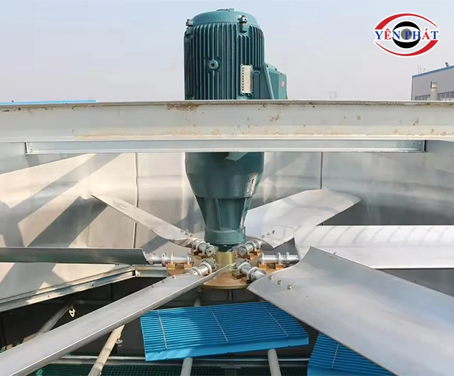 sinh gió khoẻ, ổn định