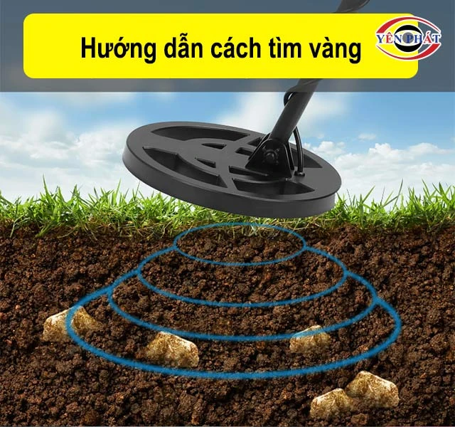 2 Cách Tìm Vàng: Nhanh, Ít tốn sức, Tỉ lệ thành công 99%