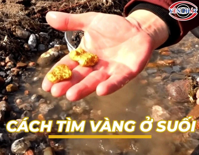 2 Cách tìm vàng ở suối: Nhanh, Chuẩn xác, Hiệu quả 99%