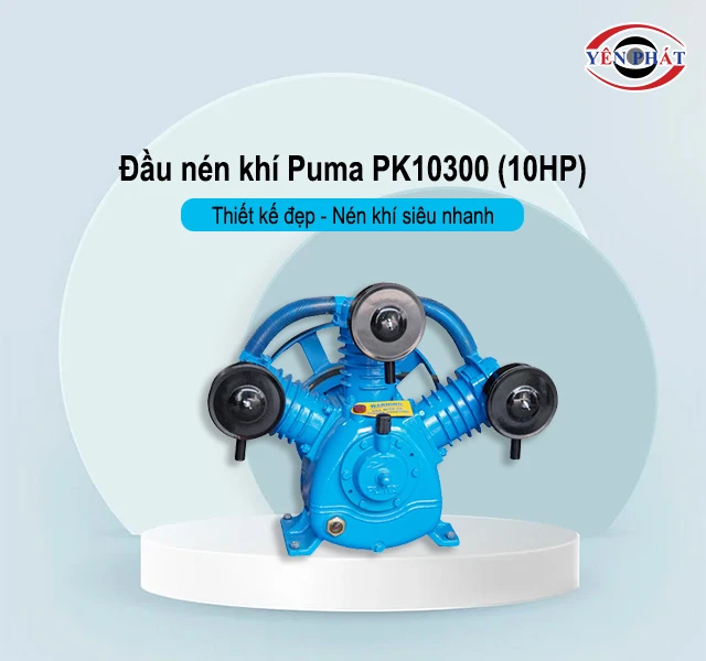 Đầu nén khí Puma PK10300 (10HP)
