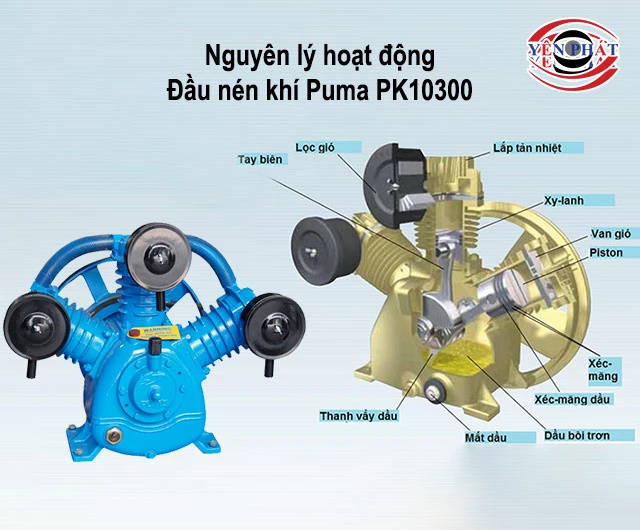 cách hoạt động của Đầu nén Puma PK10300 (10HP)