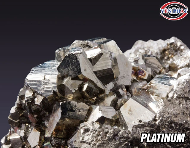 Kim loại đắt nhất thế giới Platinum