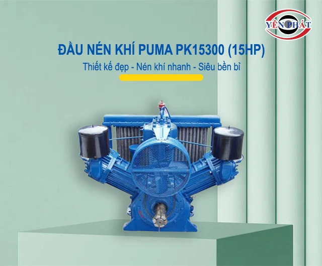 Đầu nén khí Puma Đài Loan PK15300 (15HP)