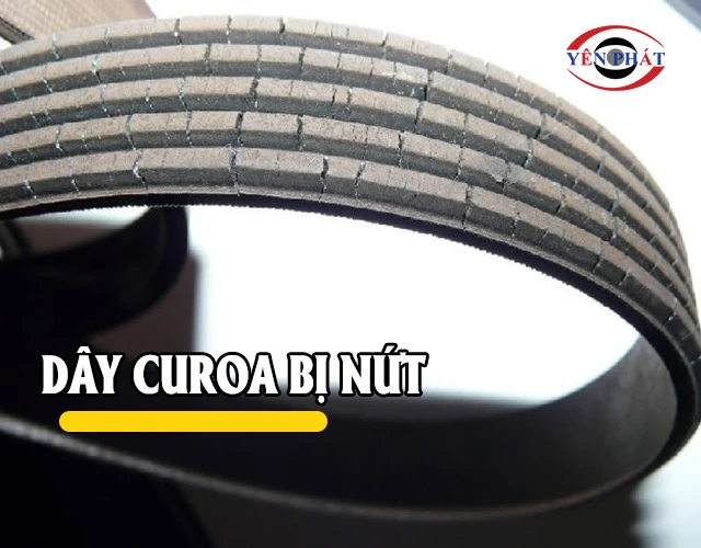 Dây curoa bị nứt