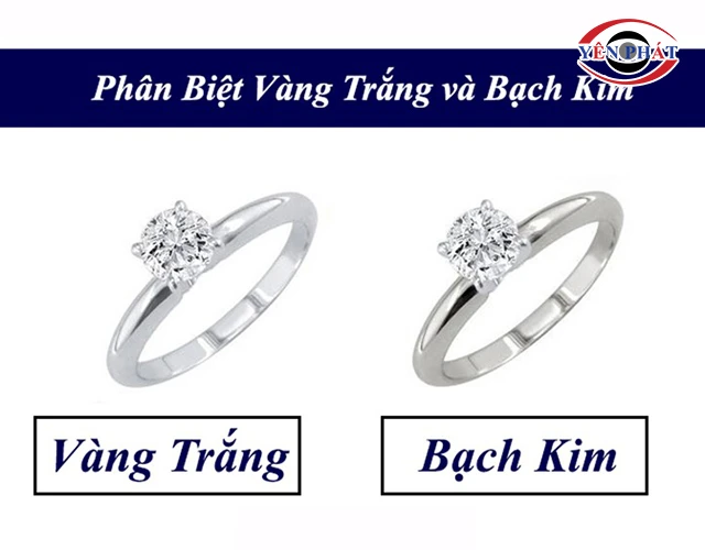 Vàng trắng và bạch kim cái nào đắt hơn? Có giống nhau Ko?