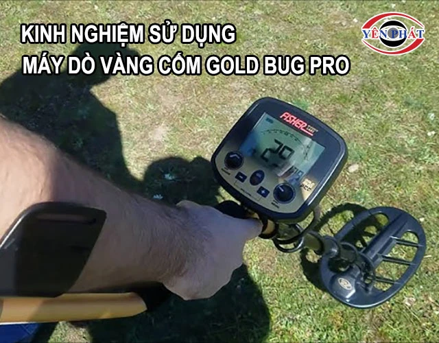 kinh nghiệm sử dung Gold Bug Pro