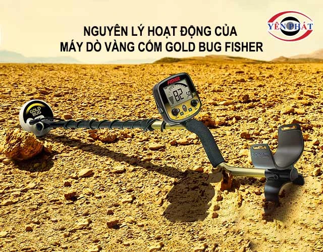 nguyên lý hoạt động của Gold Bug Fisher
