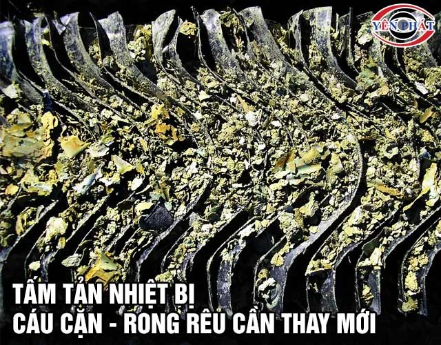 Thay mới tấm tản nhiệt Kumisai KMS-05