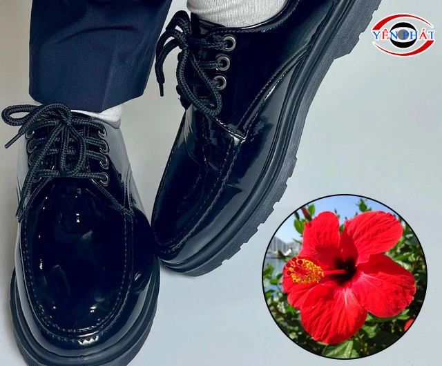Đánh bóng giày bằng hoa dâm bụt