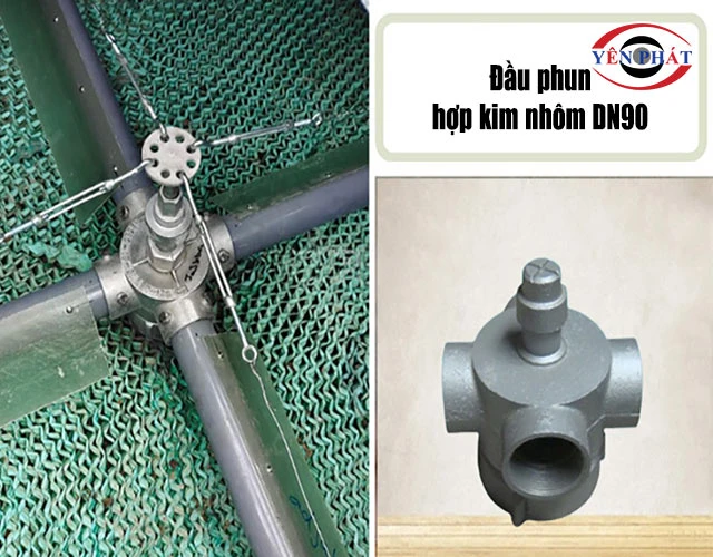 phân chia nước tốt