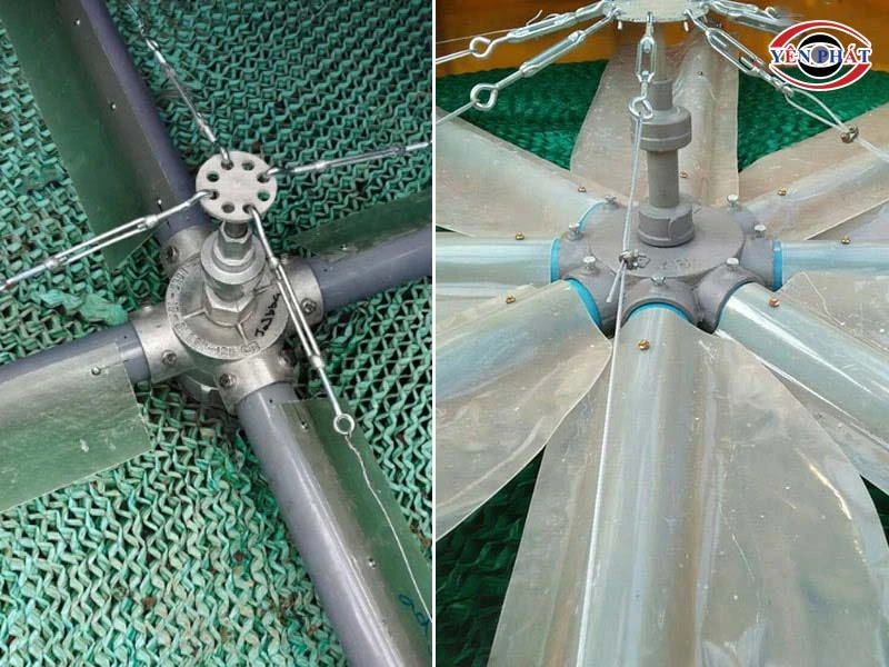 phân chia nước dễ dàng
