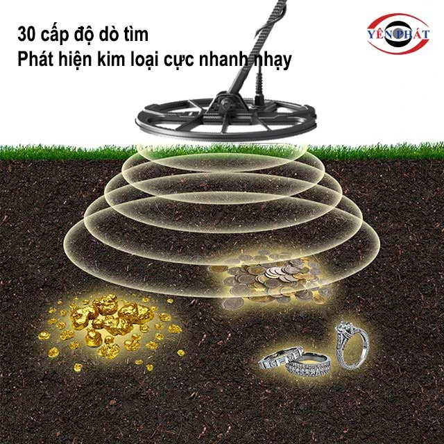 dò tìm cực nhanh nhạy