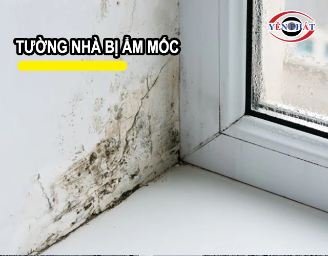 tường nhà bị mốc