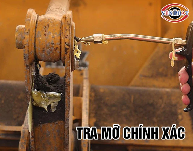 tra mỡ chính xác