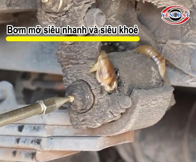 cấp mỡ siêu nhanh
