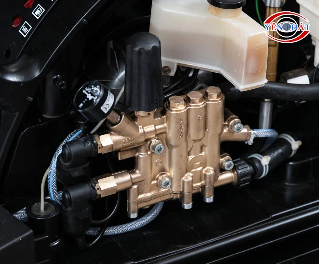 Tổng thể bền khỏe