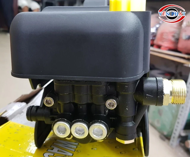 Tổng thể chắc khỏe, bền bỉ