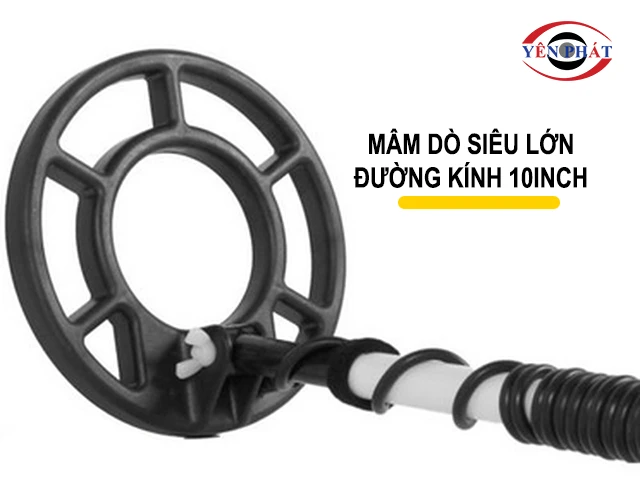 Mâm dò lớn