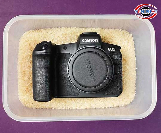 Xử lý ẩm bằng cách đặt vào thùng gạo