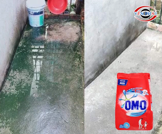 Tẩy rêu trên nền xi măng bằng bột giặt