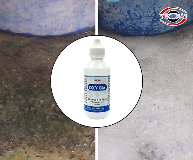 Xử lý sàn rêu bằng oxy già