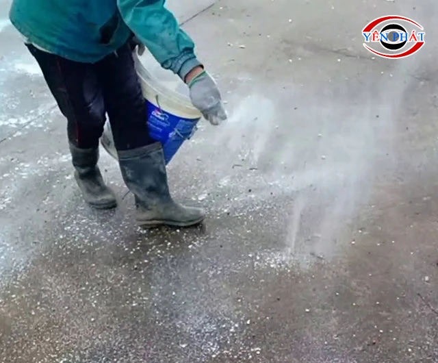 Cách tẩy rêu trên nền xi măng bằng vôi