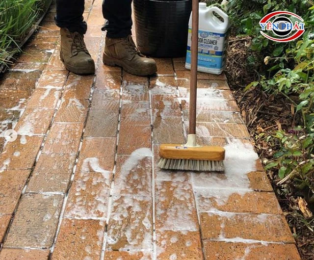 Chà rửa sàn rêu bằng nước rửa bát