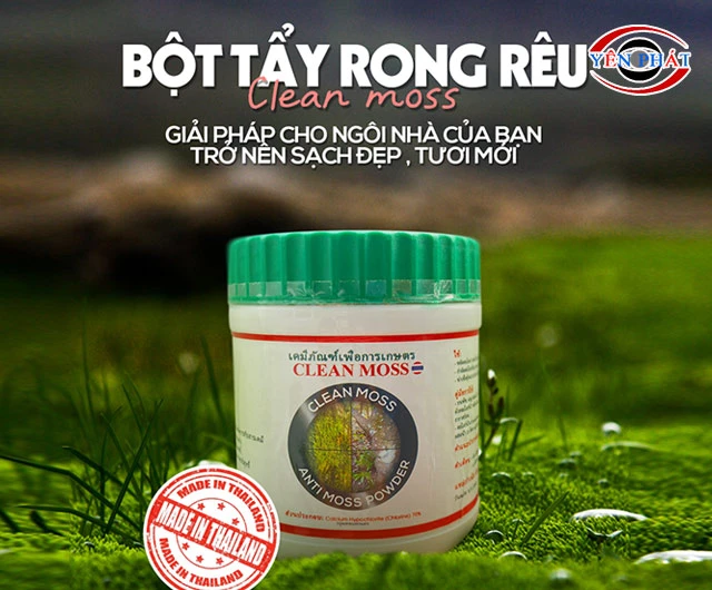 Dùng bột tẩy rong rêu