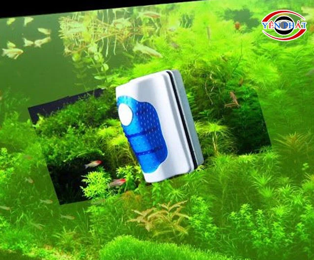 Vệ sinh bể cá thông minh
