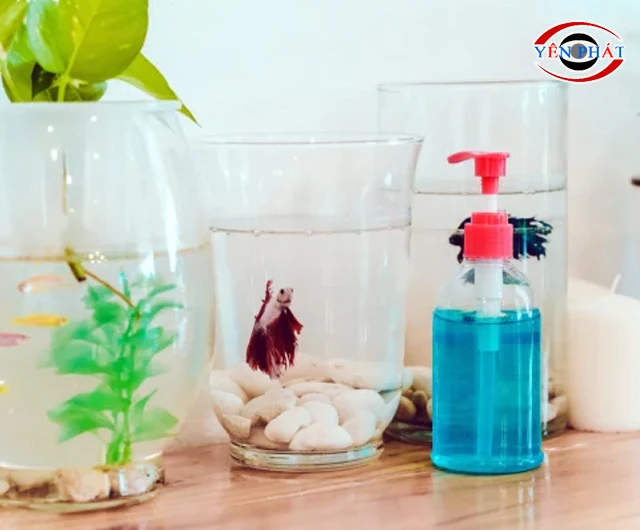 Cọ rửa bằng nước lau kính