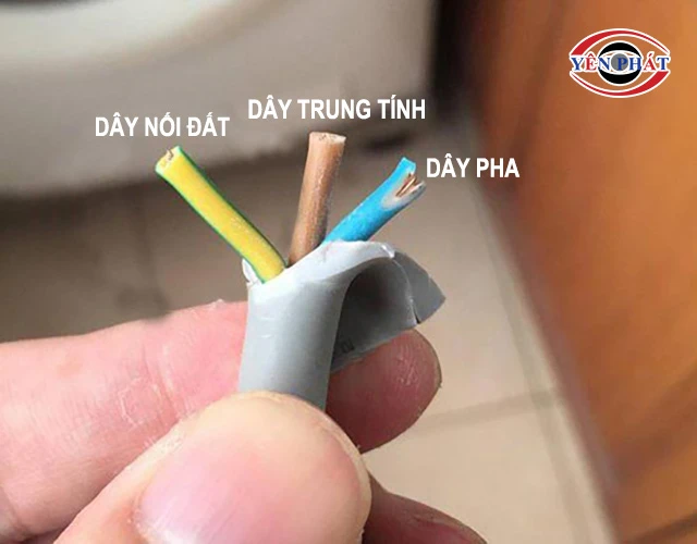 các loại dây trong dây dẫn điện 3 pha