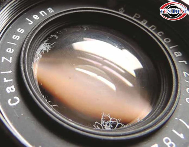 Biểu hiện lens bị mốc