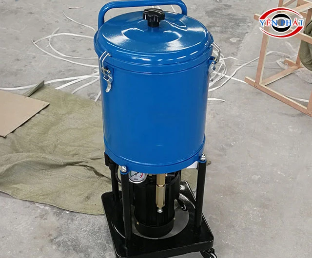 Tổng thể chắc khỏe, ổn định