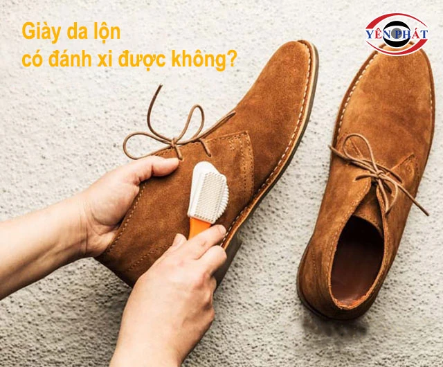 Giày da lộn có đánh xi được không