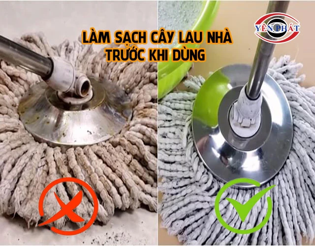 làm sạch cây lau nhà