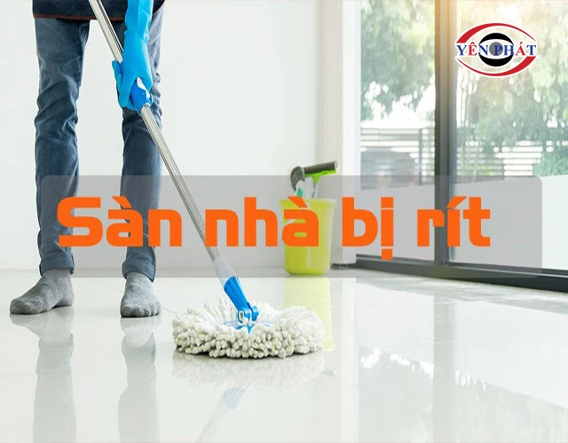Sàn Nhà Bị Rít: 5 Nguyên nhân & 3 Cách xử lý tận gốc