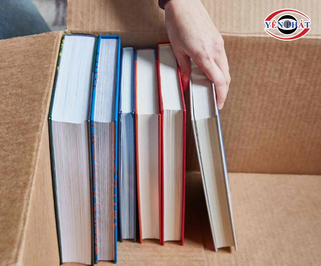 11+ Cách bảo quản sách như mới: Không bị mốc, Ố vàng