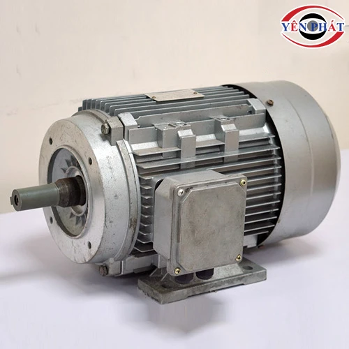 Motor cho máy rửa xe 5,5kW 2